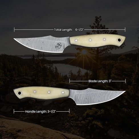Knives Ranch Handmade EDC Fixed Blade Hunting Knife – Forged Damascus Steel – Bone Handle – Horizontal Carry Sheath – Outdoor Cowboy Knife (3180-B) in Saudi Arabia