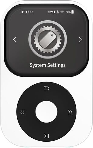 SHANLING Q2 HiFi MP3 Player Lossless Music Player, 4X CS43131 DAC, 768kHz/32bit DSD512, 3.5mm + 4.4mm Jack, Bluetooth 5.2 LDAC/aptX HD, Support 2TB TF Card, Digital Audio Player Black-Gray in Saudi Arabia