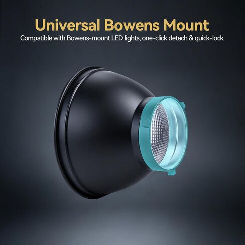 WELLMAKING Bowens Mount Reflector with Barn Door & Color Gels for LED Light in Saudi Arabia