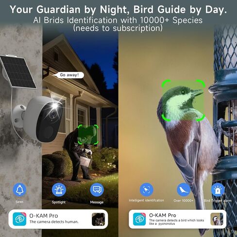 Rraycom 2.4/5G 4PC Wireless Solar Outdoor Security Camera with Solar Panels in Saudi Arabia