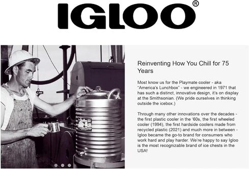 Igloo Push-Button Spigot for 2-10 in Saudi Arabia