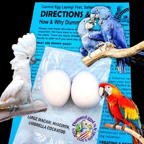 Plastic Large Parrot for Macaw & Cockatoo. 2 Solid Non-Toxic Fake Decoy Faux Mock Eggs 1-7/8" x 1-1/2" (4.8 x 3.8cm)