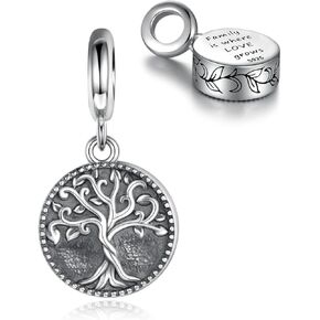 Sterling Silver Cremation Urn Bead Charm for Ashes - S925 Holds Ash Keepsake Pendant Family Tree of Life Memorial Jewelry Gifts for Women Loss Loved One