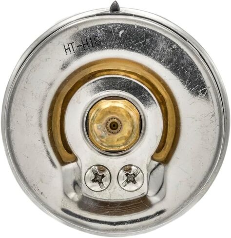 Liquid Filled Center Back Mount Pressure Gauge with 2.5" Dial, 0-6000 PSI, 1/4" Male NPT Connection, Stainless Steel CASE and Bezel (1) in Saudi Arabia