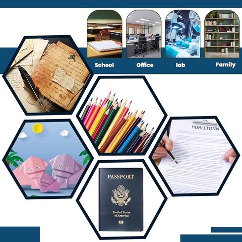 DLOnline 12 Pack Binder Pocket Expandable Folders 11 Holes Plastic Envelopes for 2/3/4 Ring Binder A4/Letter Document Pouch for School Home Office (Vertical-Opening) in Kuwait