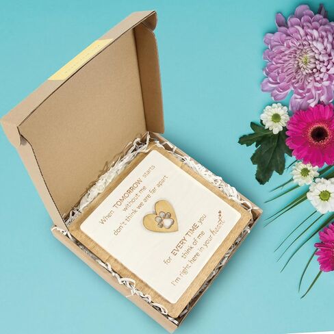 الهدايا التذكارية للحيوانات الأليفة - هدية تعاطف مدروسة لفقدان قطة كلب، هدية تذكارية، هدايا الرحيل، هدايا الفجيعة لفقد حيوان أليف، لوحة تذكارية تكريمًا لصديقك الراحل ذي الفراء. in Kuwait