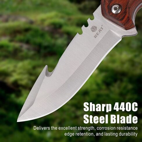 REAT Fixed Blade Knife with Sheath,3.5" 440C Stainless Steel Blade with Gut Hook Design,Ergonomic Wood Handle,Sharp Bushcraft Knife,Hunting Knife for Camping,Hiking,Survival,Skining,Gifts for Men,Women in Kuwait