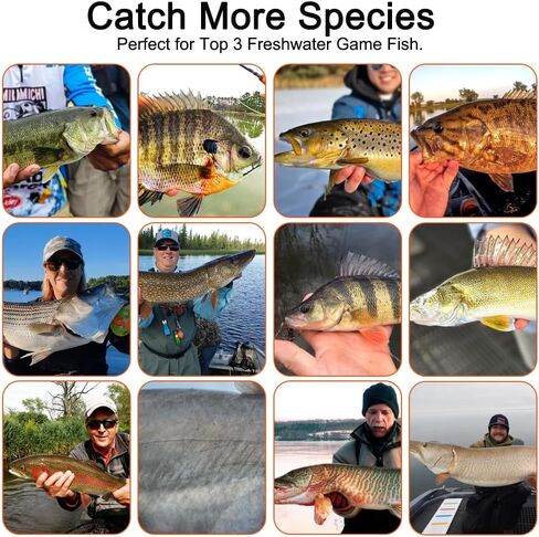 Fishing Tackle kit 308pcs Fishing Accessories Kit Fishing Hooks in Saudi Arabia