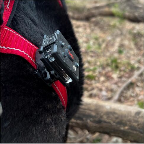 Guardian Angel Snap Lock Mount - Magnetic Mount with Screw-in in Kuwait
