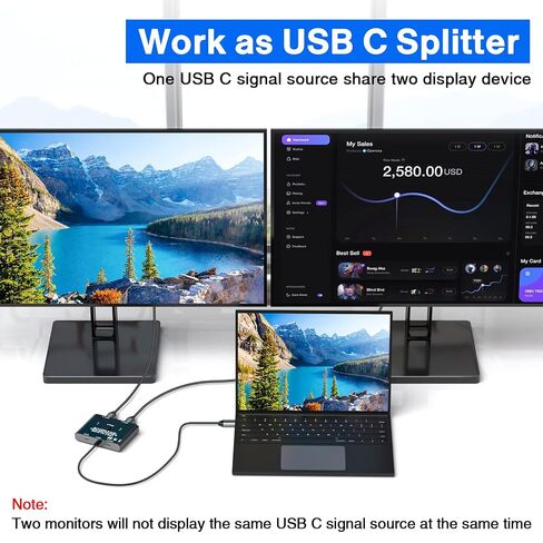USB C Switch 2 in 1 Out USB C Switcher Selector for 2 Laptops Share 1 USB Device, 4K@60Hz/10Gbps Data Transfer and 100W PD Charging, Wired Control and 2 UBS C Cables in Saudi Arabia