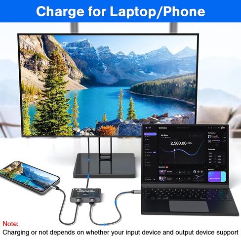 USB C Switch 2 in 1 Out USB C Switcher Selector for 2 Laptops Share 1 USB Device, 4K@60Hz/10Gbps Data Transfer and 100W PD Charging, Wired Control and 2 UBS C Cables in Saudi Arabia