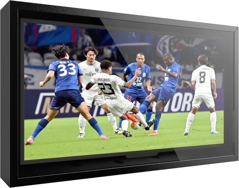 BlueWish 55 IN Outdoor TV Enclosure, Iron Weatherproof TV Protector Cover in Saudi Arabia