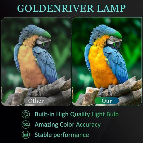 GOLDENRIVER Premium Quality LU-12VPS1 Replacement Projector Lamp with Housing Compatible with Marantz VP12S1 VP12S2 VP12S2L VP16S2 in Saudi Arabia