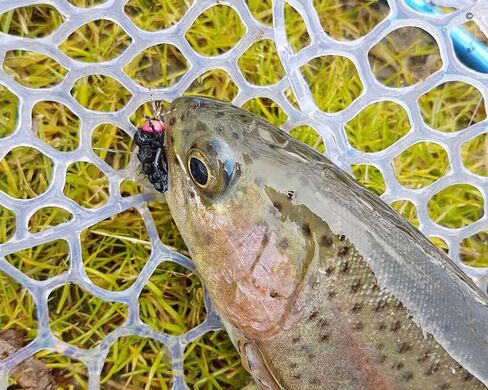 Realistic Fly Fishing Flies Set Dry Fly Mosquitos Set of 12 Flies Handmade Rainbow Trout Fishing Lure kit Flyfishing in Saudi Arabia