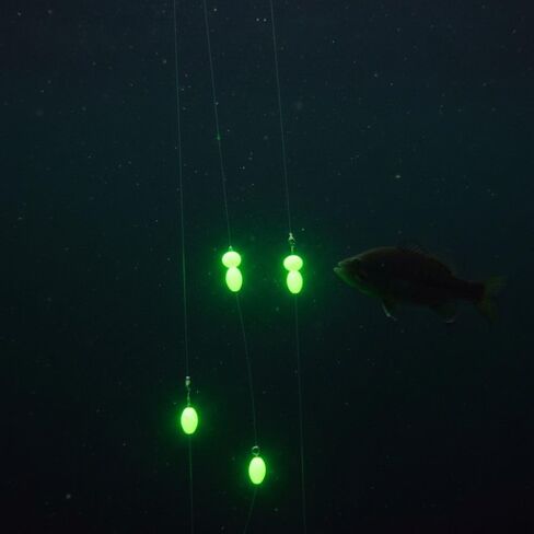 Fishing Beads – Oval Soft Plastic Luminous Beads Kit for Saltwater & Freshwater Rigging, Non-Slip Design with Storage Box (Green, 9 Sizes Included)‌ in Saudi Arabia