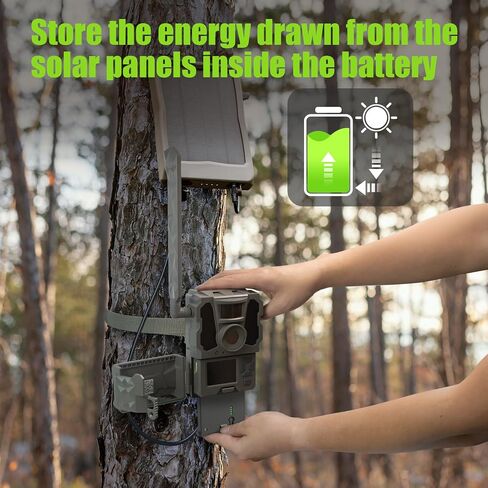 4 Pack New Reveal Lithium Battery Pack + 4 Port Battery Charger Compatible with Reveal Hunting Camera Ultra, X, X Pro, Pro 3.0, X Gen 2.0 3.0, XB, SK, Upgraded Solar Panel Compatibility in Kuwait