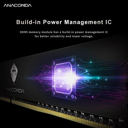 ذاكرة الوصول العشوائي للألعاب ANACOMDA DDR5 باللون الأبيض 32 جيجابايت (2 × 16 جيجابايت) 6400 ميجاهرتز CL36 زيادة سرعة التشغيل DRAM، Intel XMP 3.0 جاهز، متوافق مع AMD EXPO، ذاكرة سطح المكتب مع مبدد حراري من الألومنيوم، سلسلة Kingsnake، صنع في تايوان in Kuwait