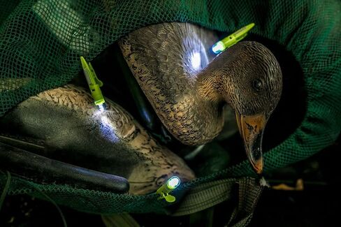 Gator Eyes Blood Trail Marking Kit, Model SXI-L001 in Saudi Arabia
