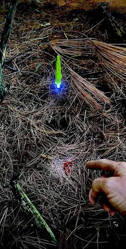 Gator Eyes Blood Trail Marking Kit, Model SXI-L001 in Saudi Arabia
