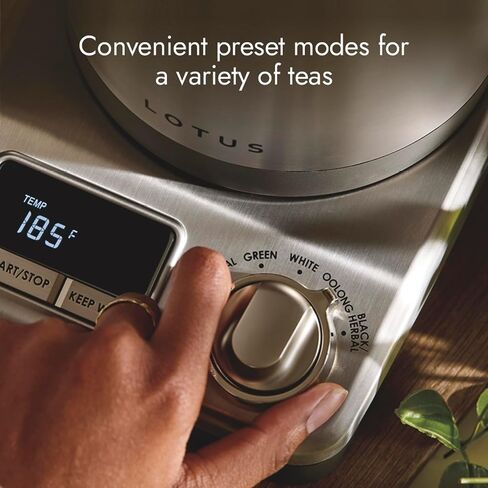 Lotus Kettle, 1.5 L Electric Tea Kettle, The Purist, 1500 Watts, Stainless Steel, Professional Series, LTSKT500 in Kuwait