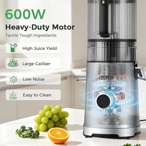 OSTBA Cold Press Juicer, 600W Slow Masticating Juicer with Large Feed Chute in Saudi Arabia