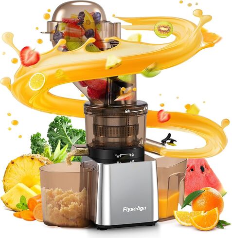 Commercial 300W Cold Press Juicer Machines High Yield in Saudi Arabia