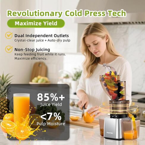 Commercial 300W Cold Press Juicer Machines High Yield in Saudi Arabia