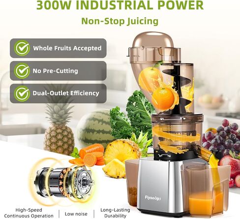 Commercial 300W Cold Press Juicer Machines High Yield in Saudi Arabia