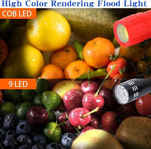 KunHe 5 Pack Plastic Small Mini LED Flashlight COB Flashlights for Kids 100 Lumen with Batteries High CRI for Bright Flash Light Kids Flashlights Christmas Gifts Stocking Stuffers in Saudi Arabia