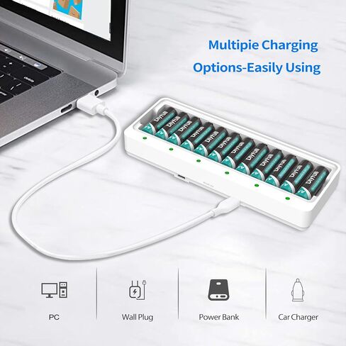 Dlyfull 12 Bay AA AAA Battery Charger for 1.2V Ni-MH Rechargeable Batteries in Kuwait