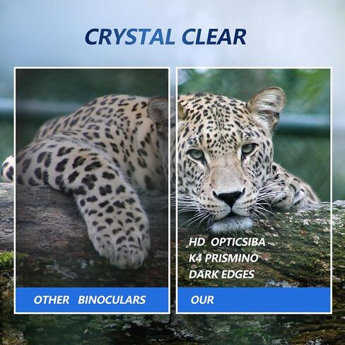 Digital Binoculars with 40MP Camera in Kuwait