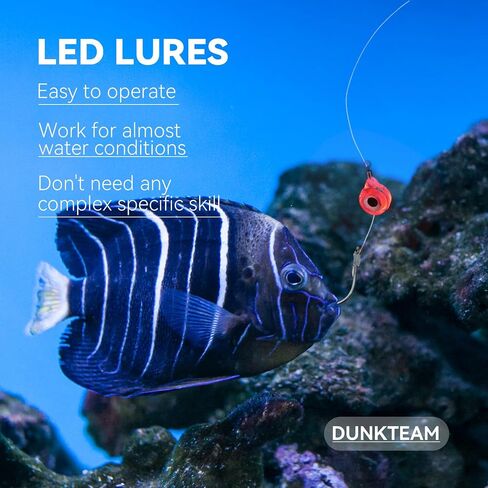 Deep Sea Fishing Lures Underwater Fishing Light Deep Drop Fishing Lights Fish Eye Attractants Lures LED Fishing Lures Kit Trolling Lures 30PCS 20PCS 10PCS in Saudi Arabia