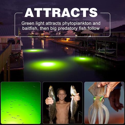 OROOTL Underwater Green Fishing Light 30000 Lumens 12V 50W LED Submersible Fishing Light Waterproof Fishing Bait Finder Attractants Dock Lamp for Squid Shrimp Snook Crappie in Saudi Arabia