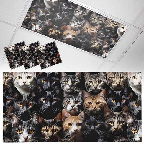 Fluorescent Light Covers for Ceiling Lights Black Cat Magnetic Light Filters 1 Pack 4x2 ft Pet Eyes Photo Ceiling Lights Cover for Classroom Office School Home Drop Lamp Decor in Kuwait