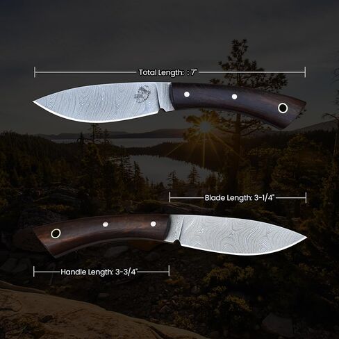 Knives Ranch 7" Hunting Knife - EDC Fixed Blade Full Tang Knife with Rosewood Handle - Dual Carry (Horizontal & Vertical) Heavy Duty Leather Sheath (3128-IRW) in Saudi Arabia
