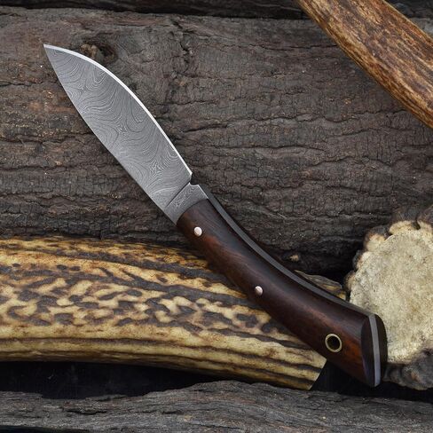 Knives Ranch 7" Hunting Knife - EDC Fixed Blade Full Tang Knife with Rosewood Handle - Dual Carry (Horizontal & Vertical) Heavy Duty Leather Sheath (3128-IRW) in Saudi Arabia