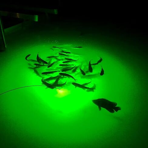 Super Bright Underwater Green Fishing Light, LED Green Light for Fishing, 12W 1300 Lumens IP68 Rated Submersible Light Attractants for Docks, Boats, Kayaks in Saudi Arabia