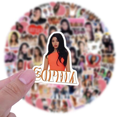 100pcs KATSEYE Stickers for Girl Water Bottle, Cool Kpop Music Vinyl Waterproof Decal for Kids Teen Adult Laptop Phone Skateboard Guitar Luggage Notebook Helmet in Kuwait