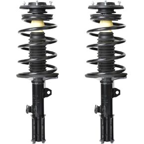 AUTOSITY Struts with Coil Spring Assembly Shock Absorber 0095