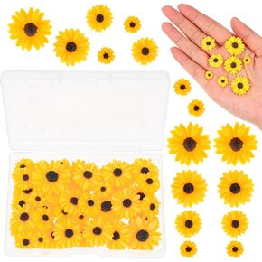 Molain 50pcs Mini Daisy Decorations, Resin Daisy Flowers Crafts Small Decorative Daisies Charms for DIY Crafts, Party, Home Decoration(White)