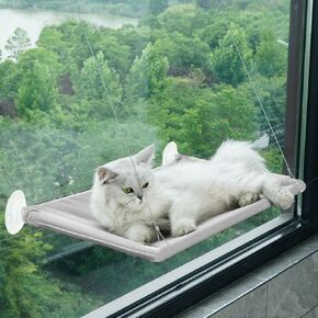 Cat Window Perches, Cozy Cat Hammock for Window, 21.65x11.8 Inch Cat Window Bed, Enjoy The View with Window Cat Perch, Heavy Duty Suction Cups (Grey, 21.65x11.8 inch)