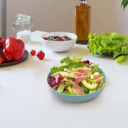 وعاء طعام القطط من Suwimut 24 قطعة من وعاء طعام القطط الضحل مقاس 5.5 بوصة، أوعية طعام رطبة للقطط واسعة للطعام والماء، طبق صغير للحيوانات الأليفة للقطط والقطط ذات الأرجل القصيرة، قش القمح in Kuwait