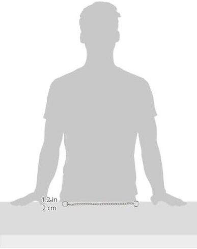 Hamilton Choke Chain Dog Collar, 18-Inch in Kuwait