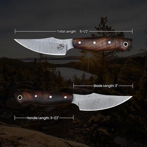 Knives Ranch Handmade EDC Fixed Blade Hunting Knife – Forged Damascus Steel – Rosewood Handle – Horizontal Carry Sheath – Outdoor Cowboy Knife (3180-IRW) in Kuwait