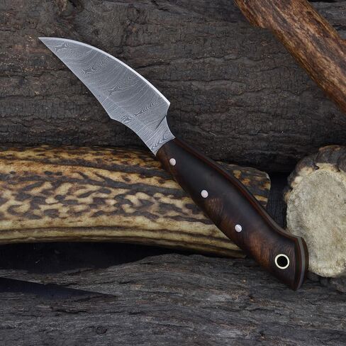 Knives Ranch Handmade EDC Fixed Blade Hunting Knife – Forged Damascus Steel – Rosewood Handle – Horizontal Carry Sheath – Outdoor Cowboy Knife (3180-IRW) in Kuwait