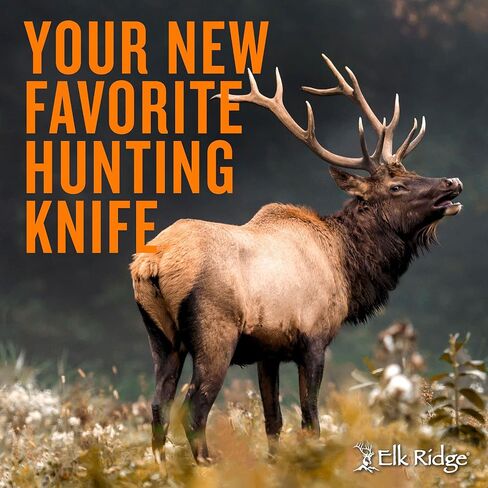 Elk Ridge 111 Series Outdoors Fixed Blade Knife - 5-in Overall, 440 Stainless Steel Mirror Polished Blade, Burl Wood Handle, Leather Sheath - Hunting, Camping, Survival in Kuwait