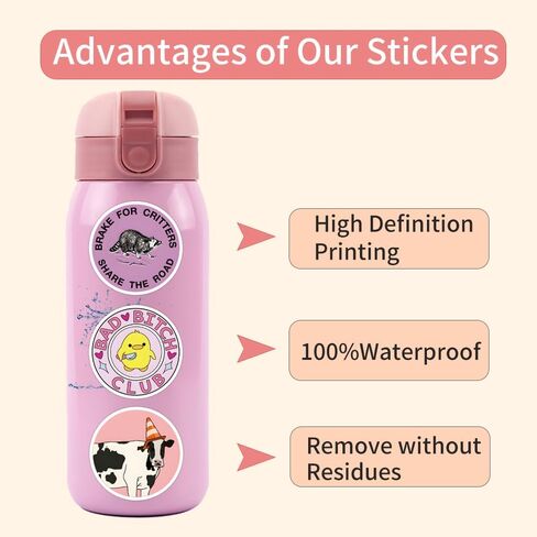 110 PCS Pink Funny Stickers for Adults, Meme Stickers for Women Teens, Waterproof Vinyl Sticker for Wate in Saudi Arabia