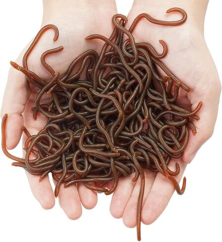 100Pcs Fake Worms Fishing Worms Soft Plastic Fishing Lures Bait Lifelike Fake Bloodworm for Freshwater Bass in Kuwait