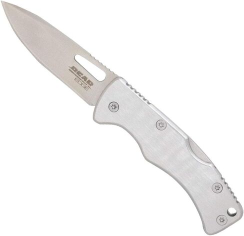 Bear Edge Money Clip 2.75" Lockback Folding Pocket Knife - 2 Inch Stainless Steel Drop Point Blade - Compact Lightweight EDC Tool for Everyday Carry - Slim Utility Folder with Integrated Money Clip in Kuwait