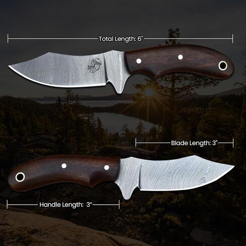 Knives Ranch Handmade EDC Fixed Blade Hunting Knife – Forged Damascus Steel – Rosewood Handle – Horizontal Carry Sheath – Outdoor Cowboy Knife (2085-IRW) in Saudi Arabia